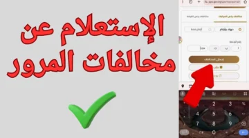 خطوات الاستعلام عن مخالفات رخص المركبات عبر traffic.moi.gov.eg وطرق الدفع الإلكترونية